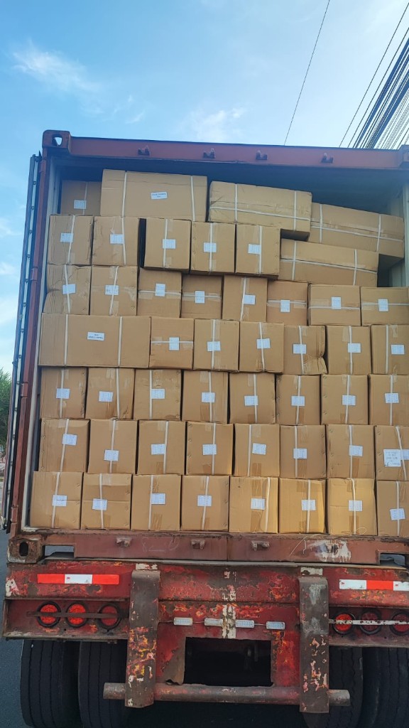 Descarga de un contenedor importado desde Corea del Sur con cajas de mercadería